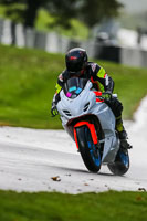 PJ-Motorsport-Photography-2020;anglesey;brands-hatch;cadwell-park;croft;donington-park;enduro-digital-images;event-digital-images;eventdigitalimages;mallory;no-limits;oulton-park;peter-wileman-photography;racing-digital-images;silverstone;snetterton;trackday-digital-images;trackday-photos;vmcc-banbury-run;welsh-2-day-enduro